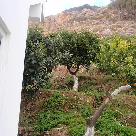 Antouan Matina