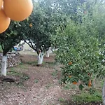 Antouan Matina Archangelos (Rhodes)