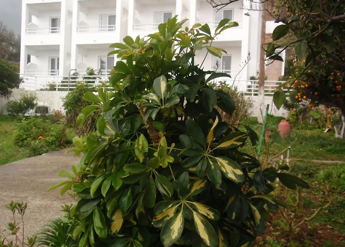 Antouan Matina * 아크앤젤로스