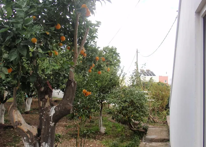 Antouan Matina 아파트 아크앤젤로스