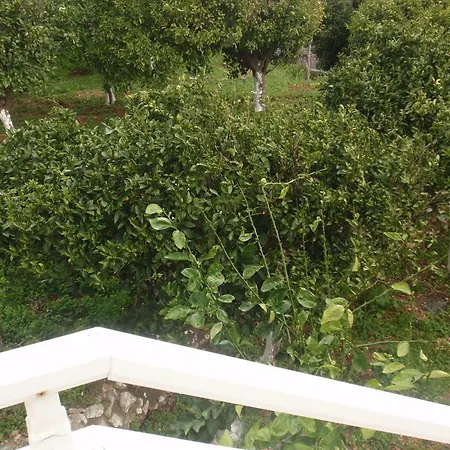 Apartament Antouan Matina *