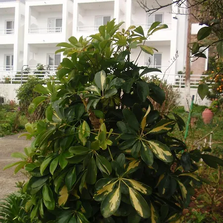 昂特昂玛缇纳公寓 * 阿彻奇洛斯