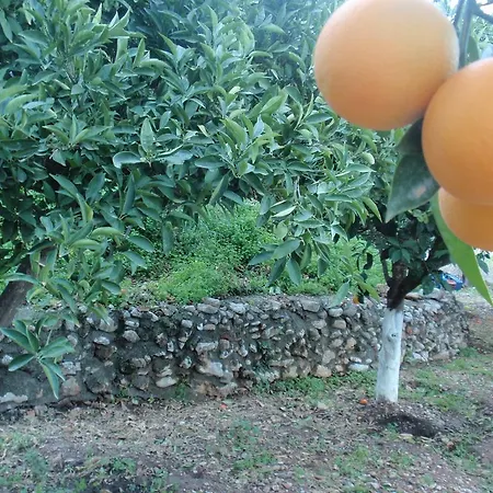 Antouan Matina * Archangelos (Rhodes)