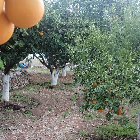 Antouan Matina Archangelos (Rhodes)