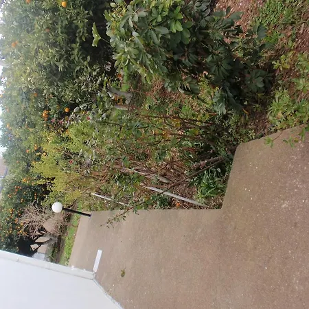 Apartament Antouan Matina *