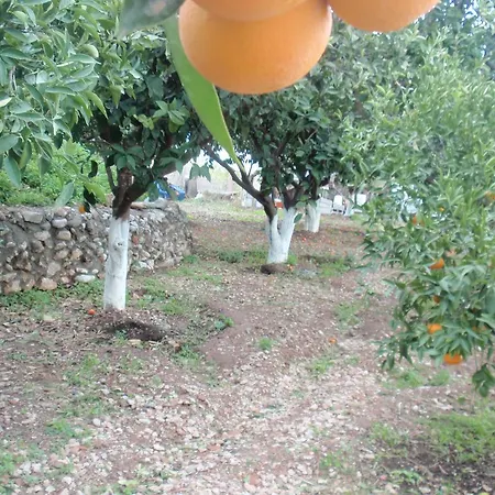 Antouan Matina Lejlighed