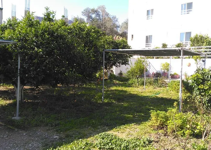 Antouan Matina
