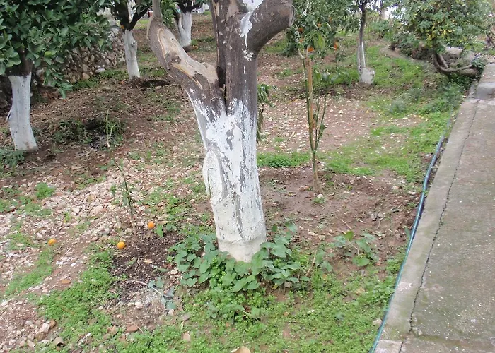 Apartmán Antouan Matina