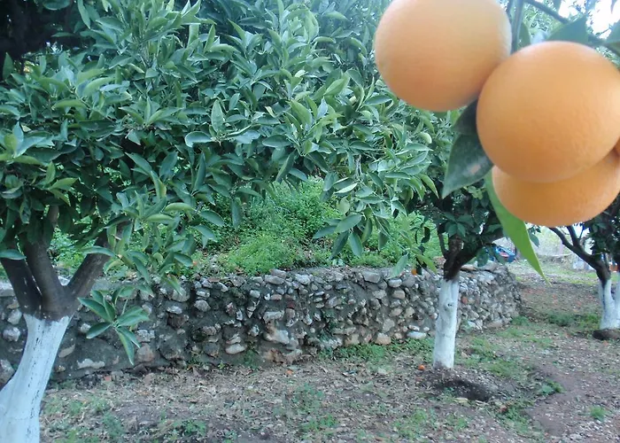 Antouan Matina * Archangelos (Rhodes)