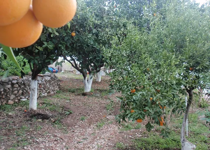 Antouan Matina Archangelos (Rhodes)